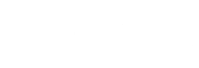 Visa Business